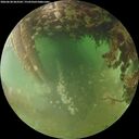 ./images/calvert/underwater/20260628/underwater20260628_063501M.jpg
