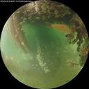 ./images/calvert/underwater/20260628/underwater20260628_064001M.jpg