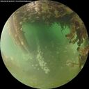 ./images/calvert/underwater/20260628/underwater20260628_064501M.jpg