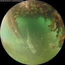./images/calvert/underwater/20260628/underwater20260628_065501M.jpg