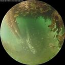 ./images/calvert/underwater/20260628/underwater20260628_070001M.jpg