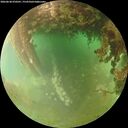 ./images/calvert/underwater/20260628/underwater20260628_070501M.jpg