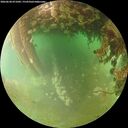 ./images/calvert/underwater/20260628/underwater20260628_071001M.jpg