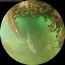 ./images/calvert/underwater/20260628/underwater20260628_071501M.jpg