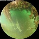 ./images/calvert/underwater/20260628/underwater20260628_072001M.jpg