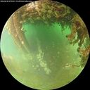 ./images/calvert/underwater/20260628/underwater20260628_072501M.jpg