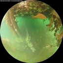 ./images/calvert/underwater/20260628/underwater20260628_073001M.jpg