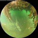 ./images/calvert/underwater/20260628/underwater20260628_073501M.jpg