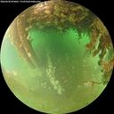 ./images/calvert/underwater/20260628/underwater20260628_074001M.jpg