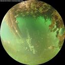 ./images/calvert/underwater/20260628/underwater20260628_074501M.jpg