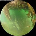 ./images/calvert/underwater/20260628/underwater20260628_075001M.jpg