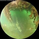 ./images/calvert/underwater/20260628/underwater20260628_075501M.jpg