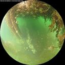 ./images/calvert/underwater/20260628/underwater20260628_080001M.jpg