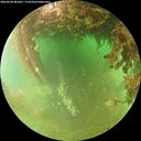 ./images/calvert/underwater/20260628/underwater20260628_081001M.jpg