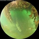 ./images/calvert/underwater/20260628/underwater20260628_082001M.jpg