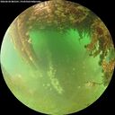 ./images/calvert/underwater/20260628/underwater20260628_082501M.jpg