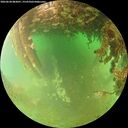 ./images/calvert/underwater/20260628/underwater20260628_083001M.jpg