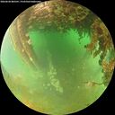 ./images/calvert/underwater/20260628/underwater20260628_083501M.jpg