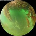 ./images/calvert/underwater/20260628/underwater20260628_084001M.jpg
