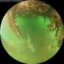 ./images/calvert/underwater/20260628/underwater20260628_084501M.jpg