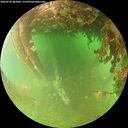 ./images/calvert/underwater/20260628/underwater20260628_085002M.jpg