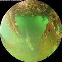 ./images/calvert/underwater/20260628/underwater20260628_085501M.jpg