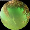 ./images/calvert/underwater/20260628/underwater20260628_090001M.jpg