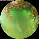 ./images/calvert/underwater/20260628/underwater20260628_090502M.jpg