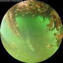 ./images/calvert/underwater/20260628/underwater20260628_091002M.jpg