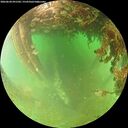 ./images/calvert/underwater/20260628/underwater20260628_091501M.jpg