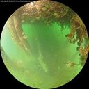 ./images/calvert/underwater/20260628/underwater20260628_092001M.jpg