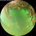 ./images/calvert/underwater/20260628/underwater20260628_093001M.jpg