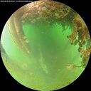 ./images/calvert/underwater/20260628/underwater20260628_094502M.jpg