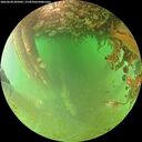./images/calvert/underwater/20260628/underwater20260628_095002M.jpg