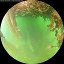 ./images/calvert/underwater/20260628/underwater20260628_095501M.jpg