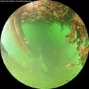 ./images/calvert/underwater/20260628/underwater20260628_100001M.jpg
