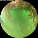 ./images/calvert/underwater/20260628/underwater20260628_101002M.jpg