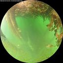 ./images/calvert/underwater/20260628/underwater20260628_101501M.jpg