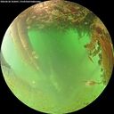 ./images/calvert/underwater/20260628/underwater20260628_102001M.jpg
