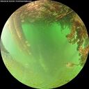 ./images/calvert/underwater/20260628/underwater20260628_102502M.jpg