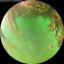 ./images/calvert/underwater/20260628/underwater20260628_103501M.jpg