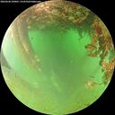 ./images/calvert/underwater/20260628/underwater20260628_104001M.jpg