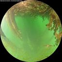 ./images/calvert/underwater/20260628/underwater20260628_104501M.jpg