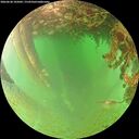 ./images/calvert/underwater/20260628/underwater20260628_105001M.jpg