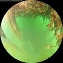 ./images/calvert/underwater/20260628/underwater20260628_105501M.jpg