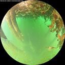 ./images/calvert/underwater/20260628/underwater20260628_110002M.jpg
