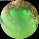 ./images/calvert/underwater/20260628/underwater20260628_110501M.jpg