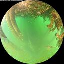 ./images/calvert/underwater/20260628/underwater20260628_111001M.jpg
