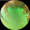 ./images/calvert/underwater/20260628/underwater20260628_111501M.jpg