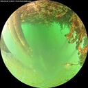 ./images/calvert/underwater/20260628/underwater20260628_113001M.jpg